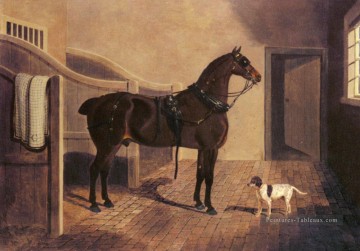  Herring Art - Un cheval et un entraîneur préféré dans un hareng stable John Frederick Cheval